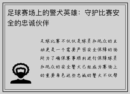 足球赛场上的警犬英雄：守护比赛安全的忠诚伙伴