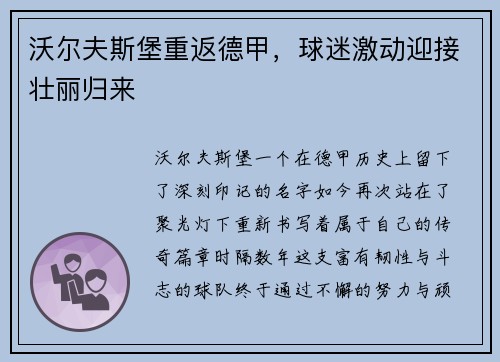沃尔夫斯堡重返德甲，球迷激动迎接壮丽归来