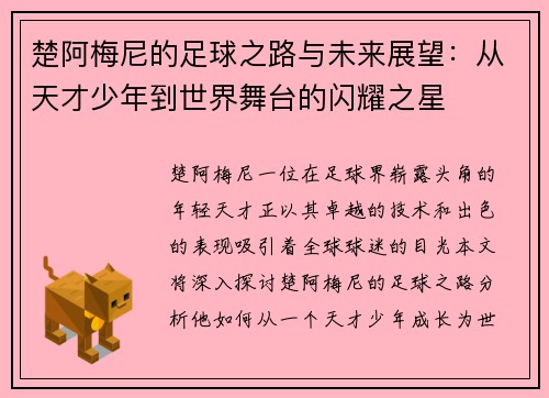 楚阿梅尼的足球之路与未来展望：从天才少年到世界舞台的闪耀之星