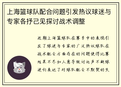 上海篮球队配合问题引发热议球迷与专家各抒己见探讨战术调整