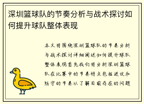 深圳篮球队的节奏分析与战术探讨如何提升球队整体表现