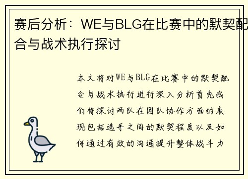 赛后分析：WE与BLG在比赛中的默契配合与战术执行探讨