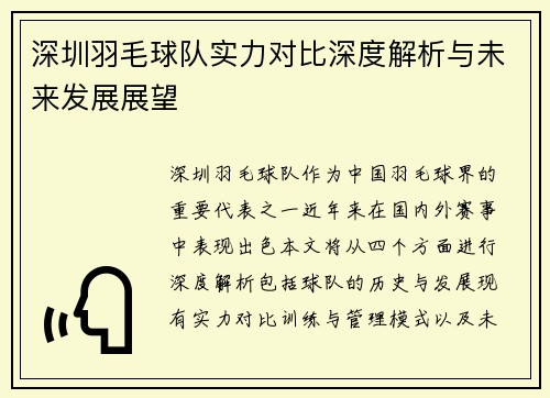 深圳羽毛球队实力对比深度解析与未来发展展望